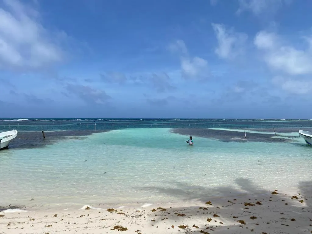 Penthouse With Roof ,Frente Al Mar By Blue Reef! Apartment Mahahual Mexico