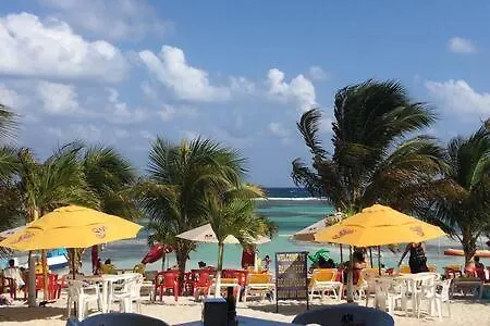 Penthouse With Roof ,Frente Al Mar By Blue Reef! Apartment Mahahual